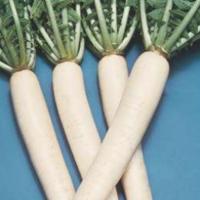 МИНО САМЭ КРОС F1 дайкон Саката