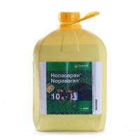 Нопасаран, КС