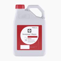 Балерина Форте, СЭ 10 л