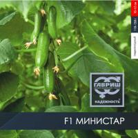 МИНИСТАР F1 огурец Гавриш