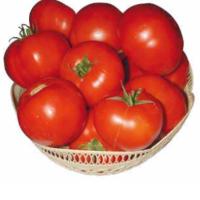 ТМАГ 666 F1 томат Саката