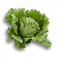 РУБЕТТ F1 салат айсберг Райк Цваан, 5 тыс.драже