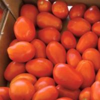 СХД 255 F1 томат Вильморин