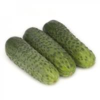 КАРАОКЕ F1 огурец Райк Цваан, PR, 1000 шт