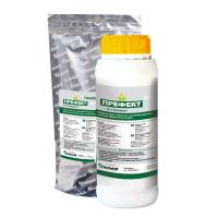 Префект, ВДГ