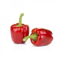 СОНДЕЛА F1 перец Райк Цваан, PR, 500 шт