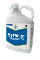 Бетанал Прогресс ОФ, КЭ