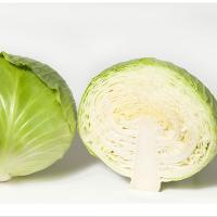 ПРЕДЕКО F1 капуста белокочанная Энза Заден