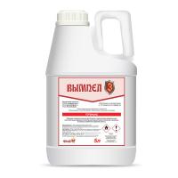 Вымпел 3, КЭ