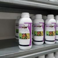 Аполло, КС 1 л