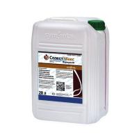 Селест Макс, КС