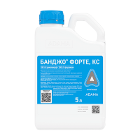 Банджо Форте, КС