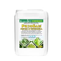 РизоБаш  Горох и Чечевица, 10 л