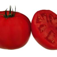 МОНА/ТМАЕ 683 F1 томат Саката