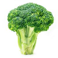 Брокколи, семена Bejo Zaden (Бейо)