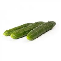 ДАНДИ F1 огурец Райк Цваан, PR, 500 шт