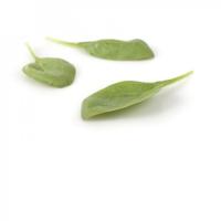 МУФЛОН F1 шпинат Райк Цваан, PR, 1 млн.шт (Копировать)