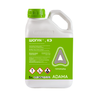 Шогун, КЭ 5 л