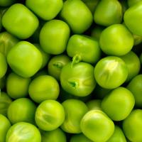 ИННОВЕСА F1 горох Нюнемс (200 000 шт)