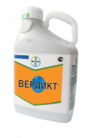 Вердикт, ВДГ