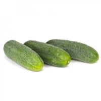 ДИРИГЕНТ F1 огурец Райк Цваан, PR, 250 шт