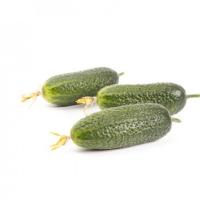 ПРОМИССА F1 огурец Райк Цваан, PR, 100 шт