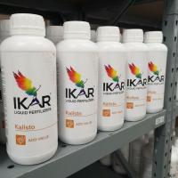 Икар Калисто, 1 л