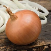 БИРДИ F1 лук Бейо