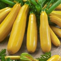 ЯСМИН F1 кабачок Саката