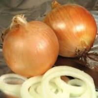 ЦЕРЕСКО F1 лук репчатый Хазера