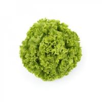 ОЛМЕТИ F1 салат Райк Цваан, 5 тыс.драже