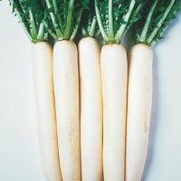 ЭПРИЛ КРОС F1 дайкон Энза Заден