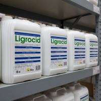 Лигроцид, 10 л