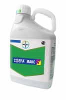 Сфера макс, КС