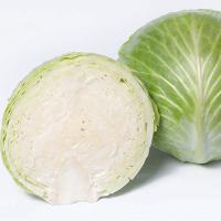 ПРОНКА F1 капуста белокочанная Энза Заден