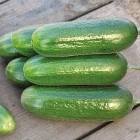 ОРЗУ F1 огурец Нюнемс