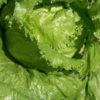 БРИССАМАР F1 салат айсберг Хазера (20 000 др)