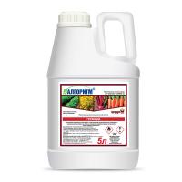 Алгоритм, КЭ