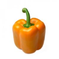 СИМПАТИ F1 перец Райк Цваан, PR, 100 шт