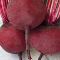 ДЕТРОЙТ F1 свекла Саката (1 кг)