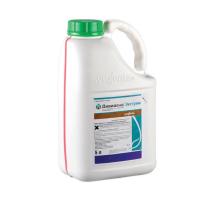 Дивиденд Экстрим, КС