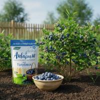 Акварин для Голубики 13:10:22+1.75MgO+6.5S+МЭ, 0.5 кг