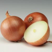 ВИЗИОН F1 лук Сингента