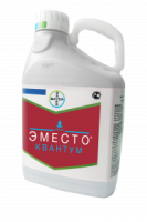 Эместо Квантум, КС