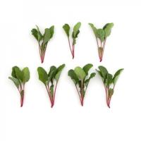 ЧАРЛИ F1 мангольд Райк Цваан, PR, 50 тыс.шт