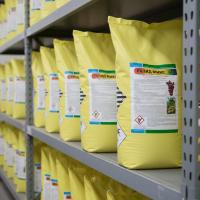 Рапид Микс, СП