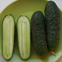 МАРИЯ F1 огурец Саката (1000 шт)