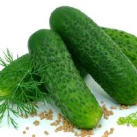 ПАРСИФАЛ F1 огурец Хазера