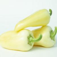 КОНТАТТА F1 перец Энза Заден