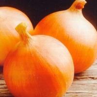 ВАРЕС F1 лук Семинис